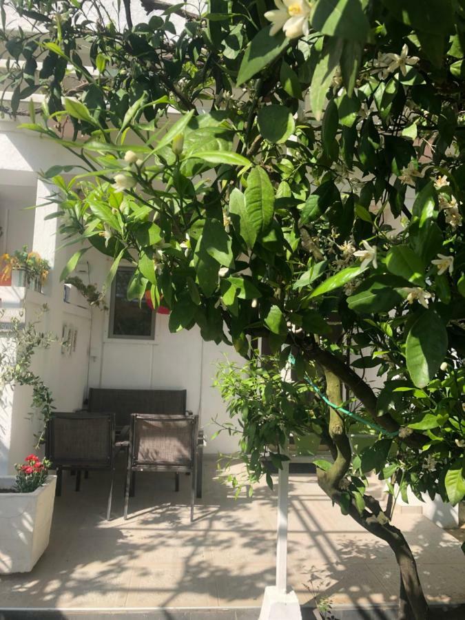 Apartments Mia Patria Ulcinj Eksteriør bilde